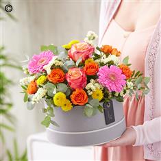 Bright Hatbox